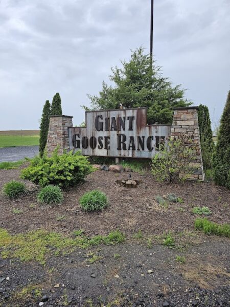 Giant Goose Ranch