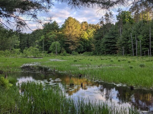 Wells State Park