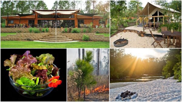 Coldwater Gardens